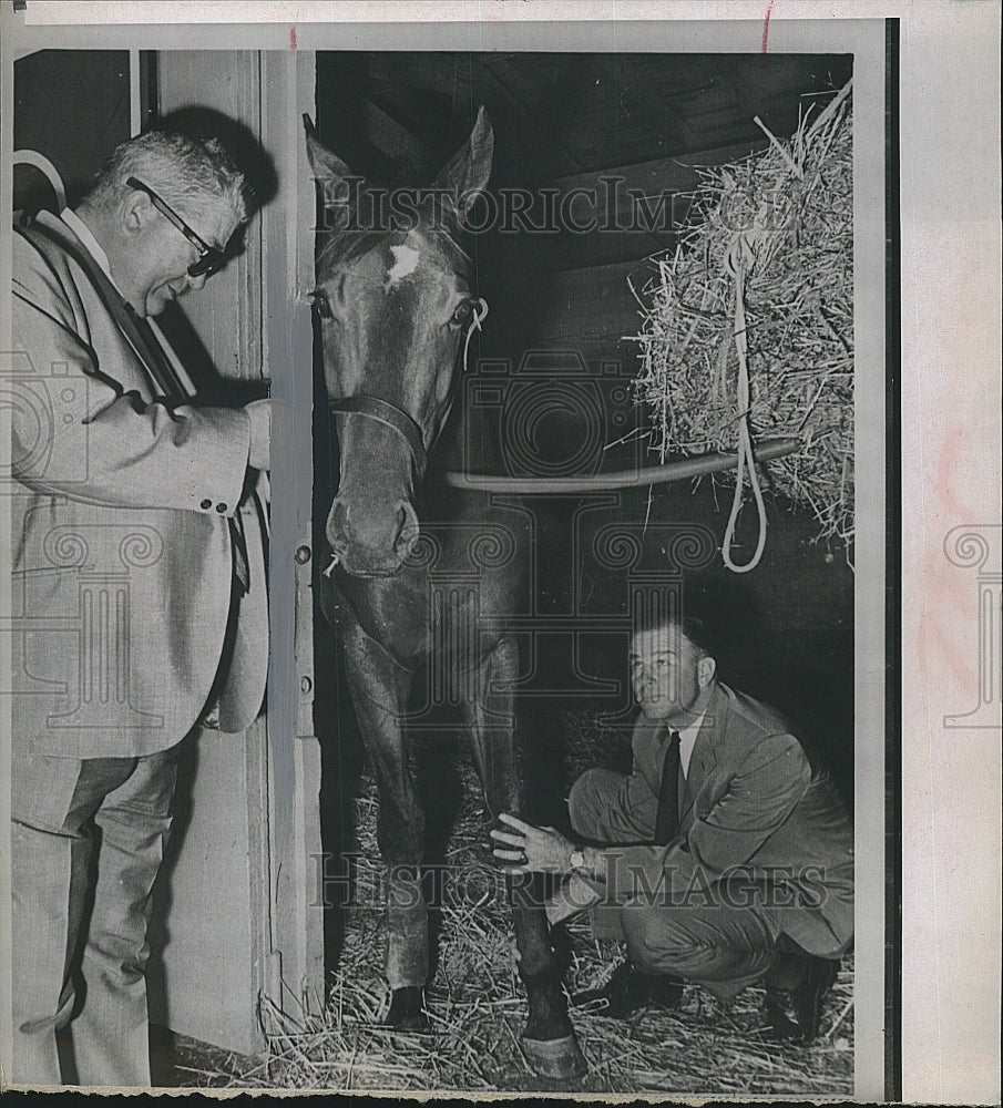 1965 Press Photo trainers examining injured race horse Sadair - Historic Images