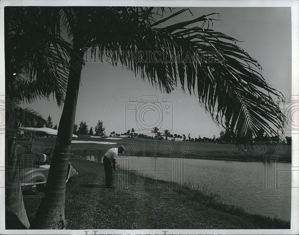 1971 Press Photo golfer at a course in Metro Miami-Dade County - Historic Images