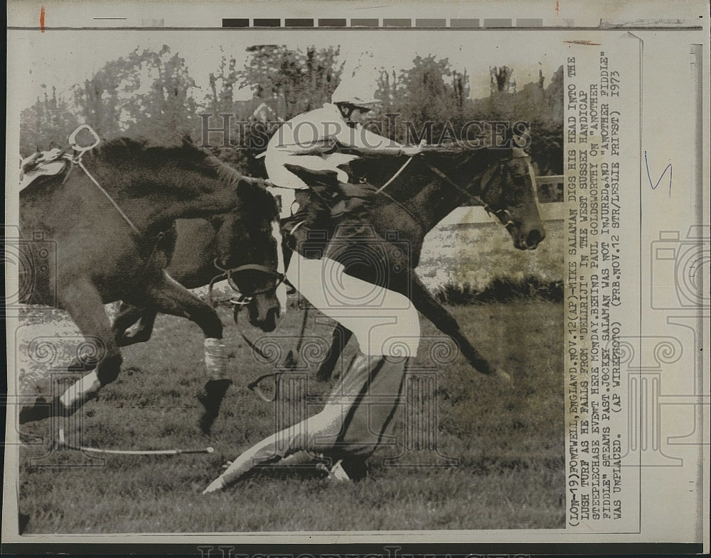 1973 Press Photo Mike Salaman Falls From "Dellriji" In West Sussex Steeplechase - Historic Images