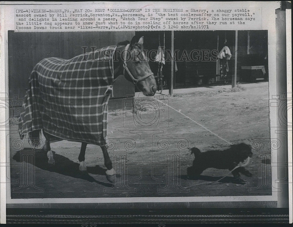 1971 Press Photo Horse Jockey Bill Perrick With Mascot - Historic Images