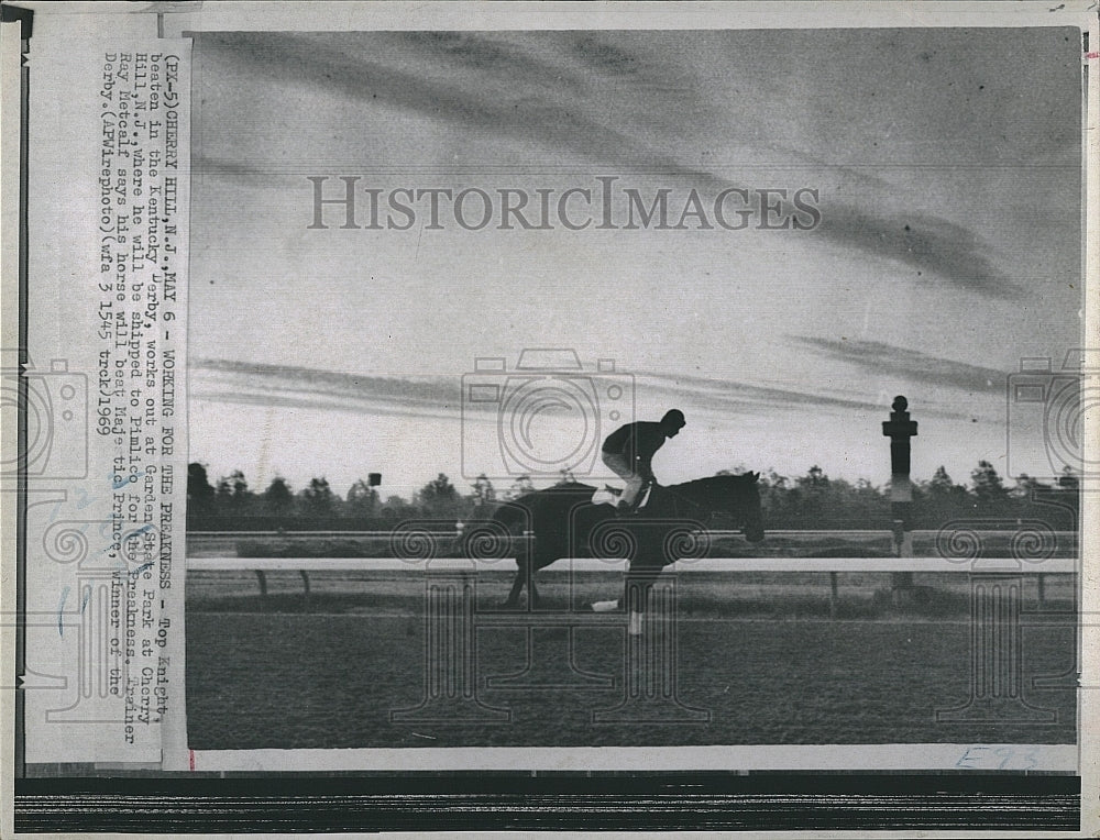 1969 Press Photo Horse Top Knight at Garden State Park track - Historic Images