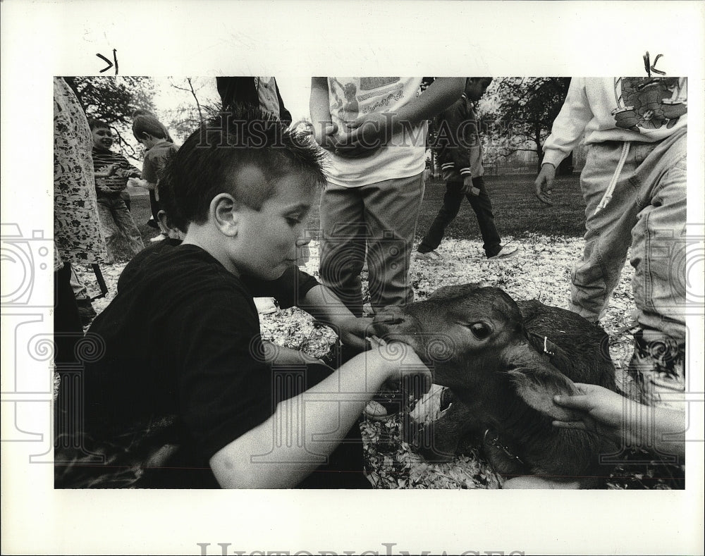 1991 Press Photo Child Visiting Green Meadows Children's Farm Petting Zoo - Historic Images