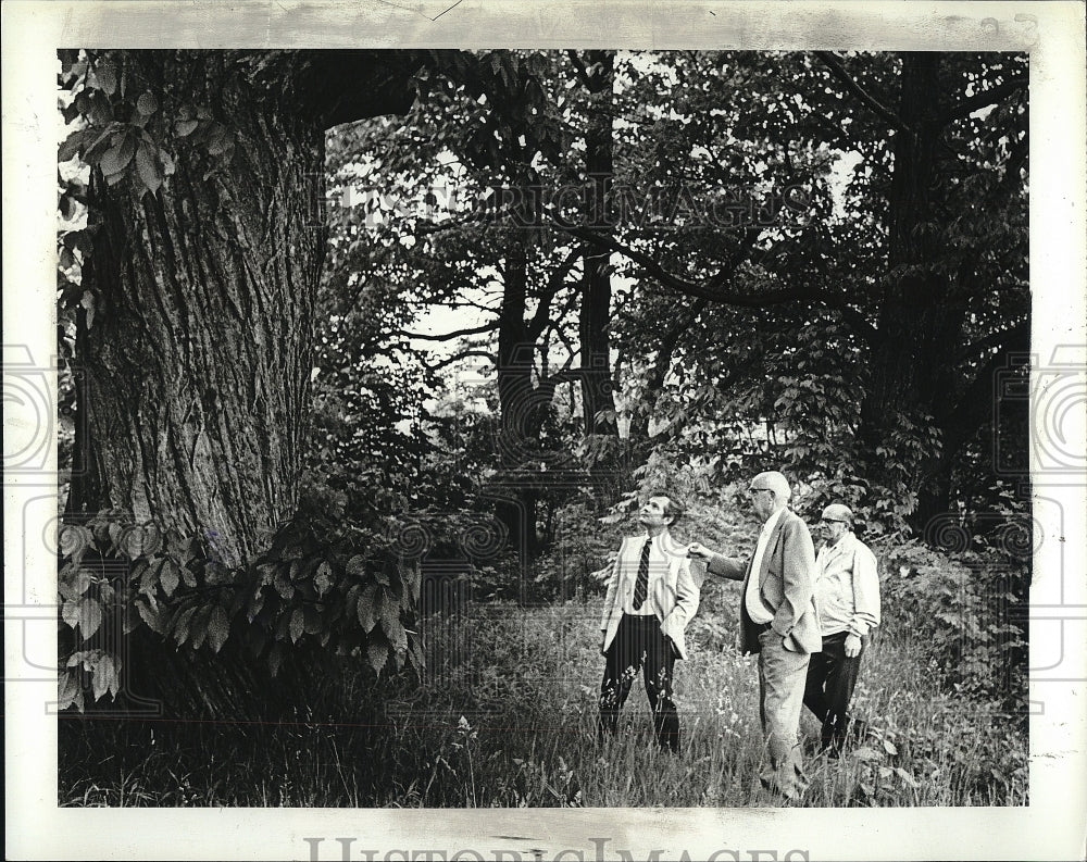 1981 Press Photo Frank, Jay, And Jim Inspecting Chestnut Trees In Detroit - Historic Images