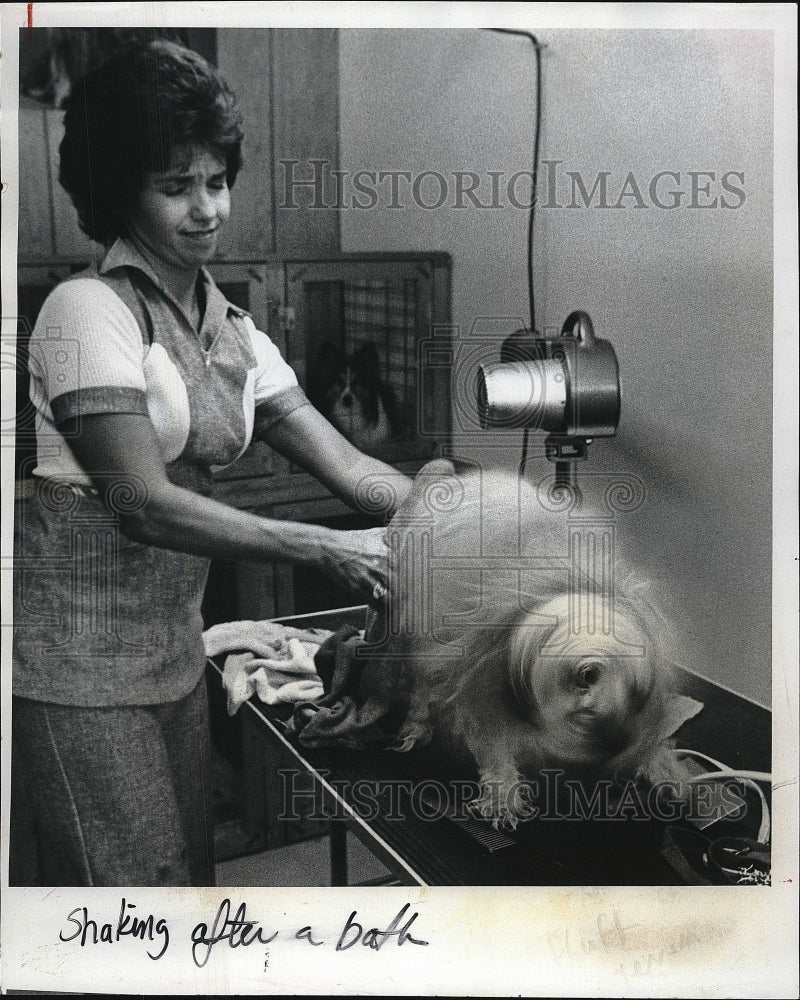 1981 Press Photo Yolanda Crescenzi.pre-grooming bath at a Flutty Terrier. - Historic Images