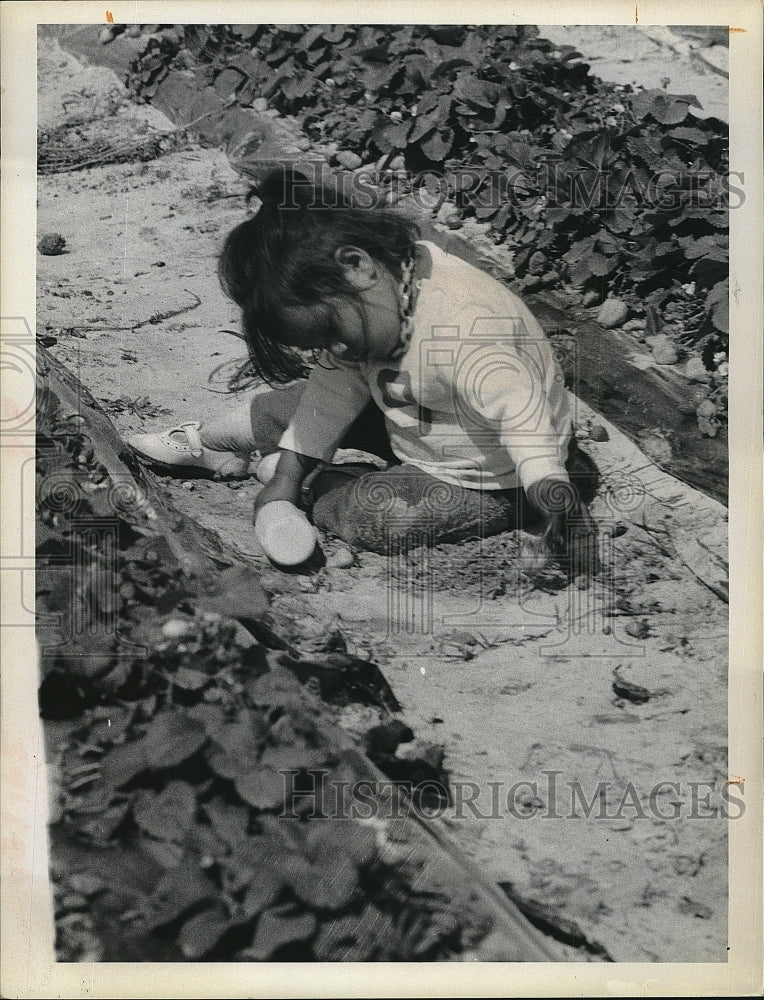 1970 Press Photo Child Playing in Dirt - Historic Images