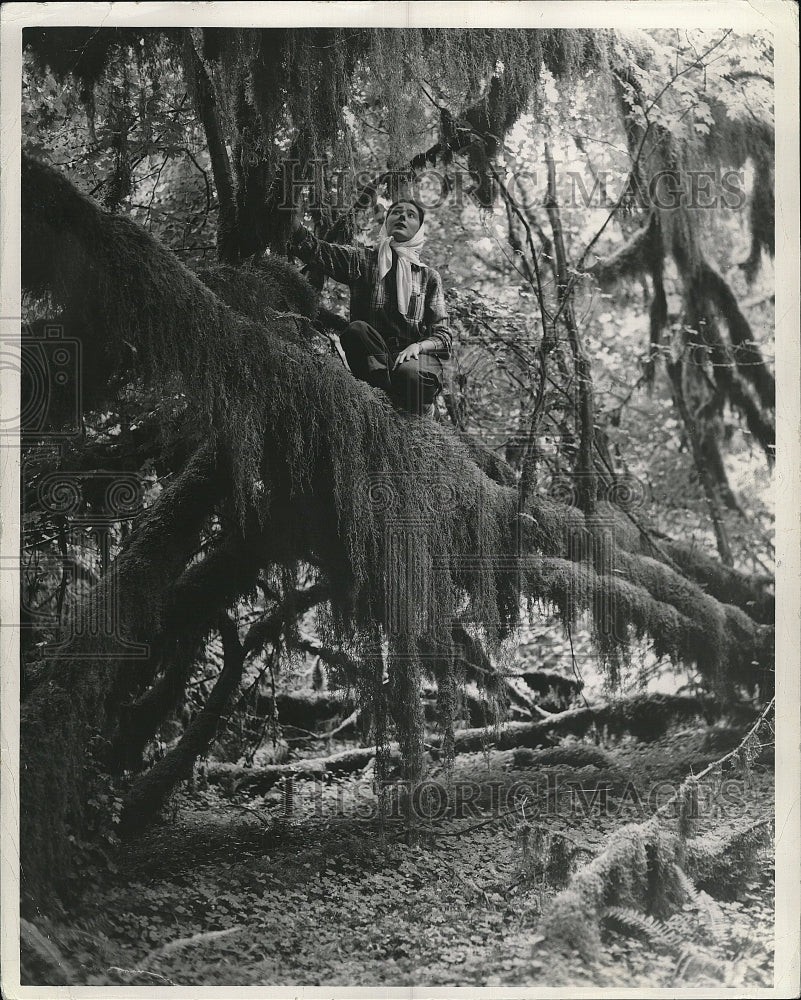 Press Photo Olympic National Park And Forest - Historic Images