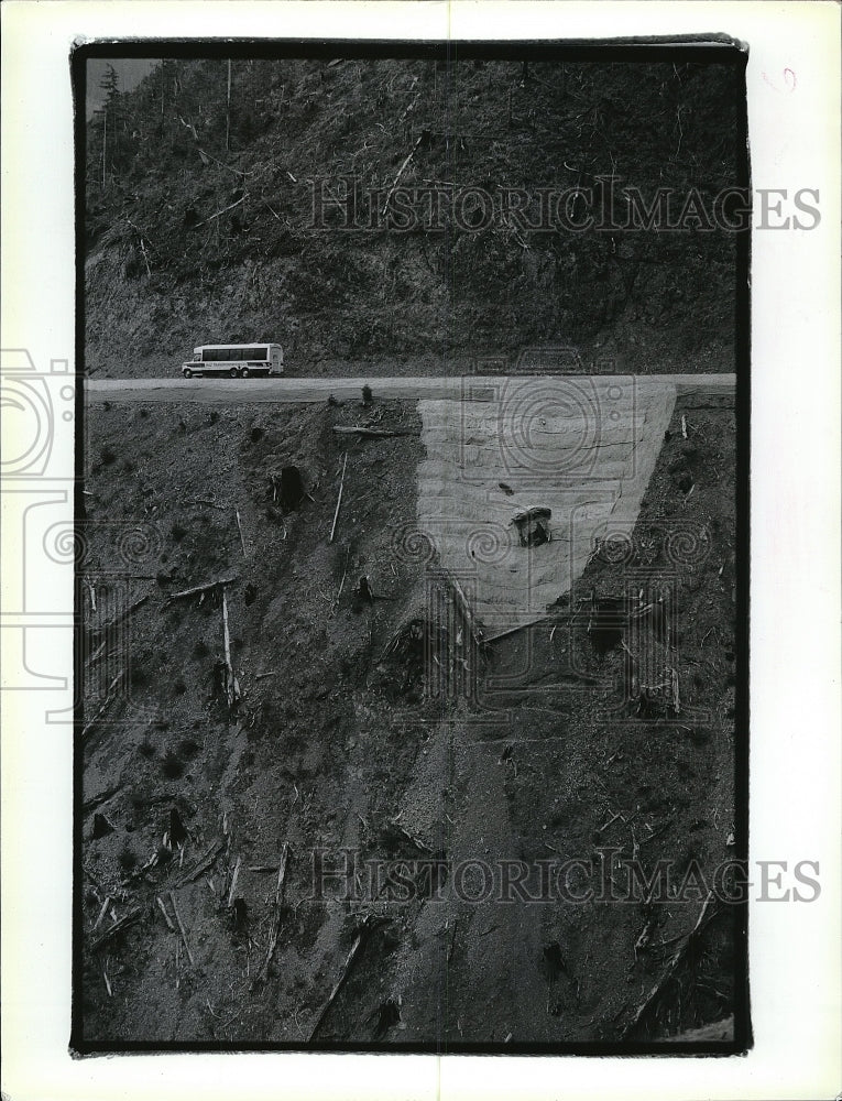 1993 Press Photo eroded bank above LeBar Creek in Olympic National Forest in WA - Historic Images