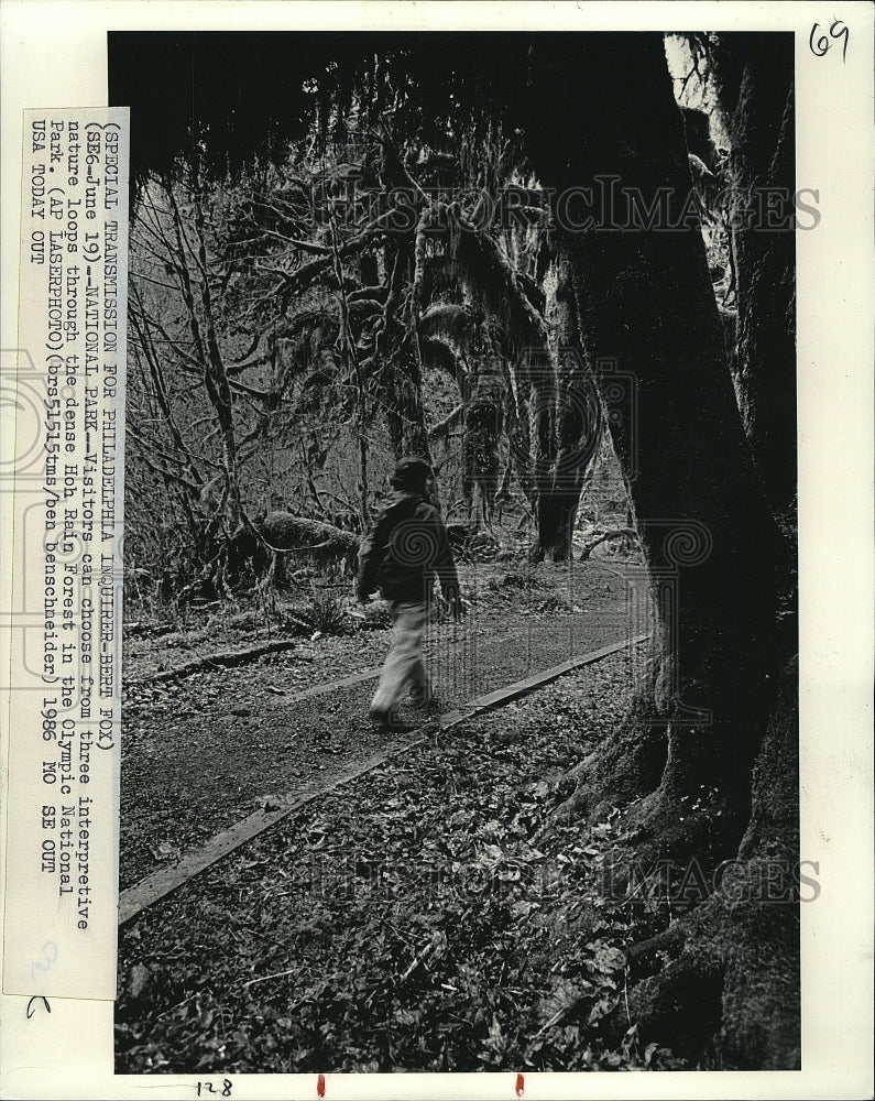 1985 Press Photo Visitors at Olympic National Park in Hoh Rain Forest - Historic Images