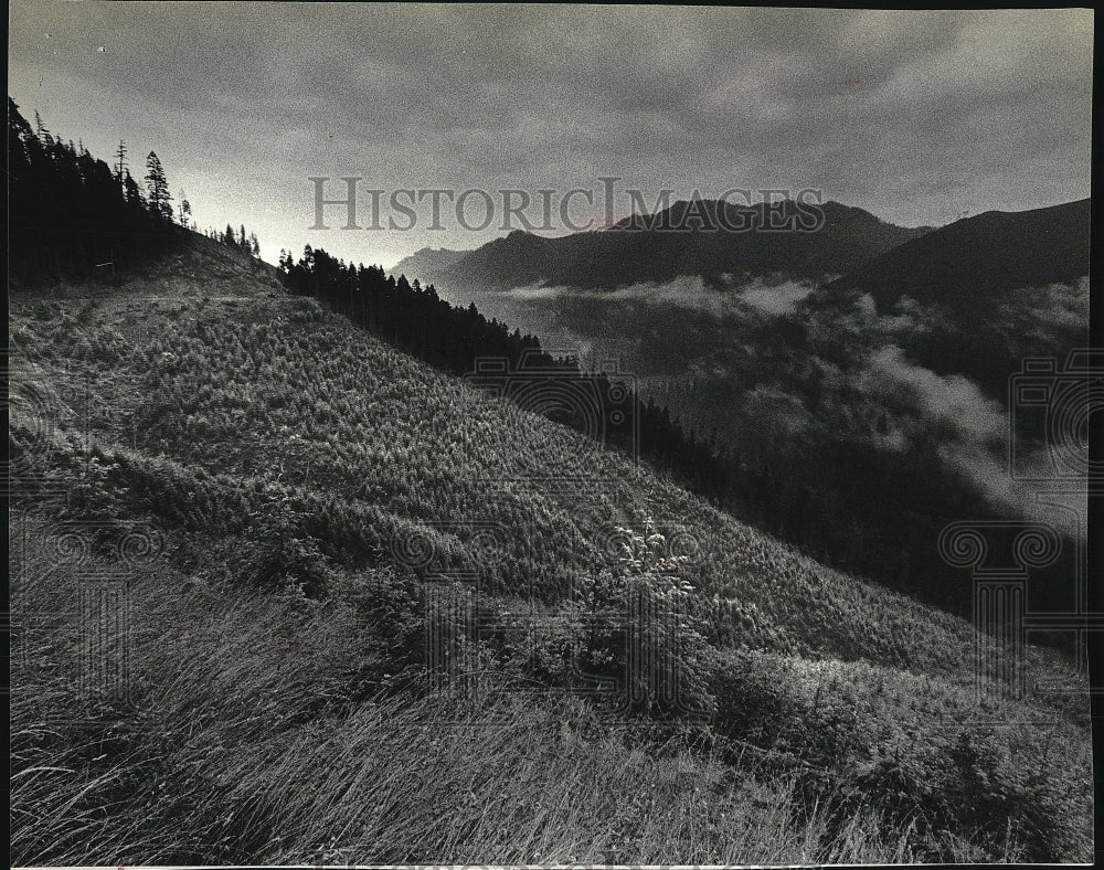 1996 Press Photo Skomish Indian Reservation forests &amp; mts. - Historic Images