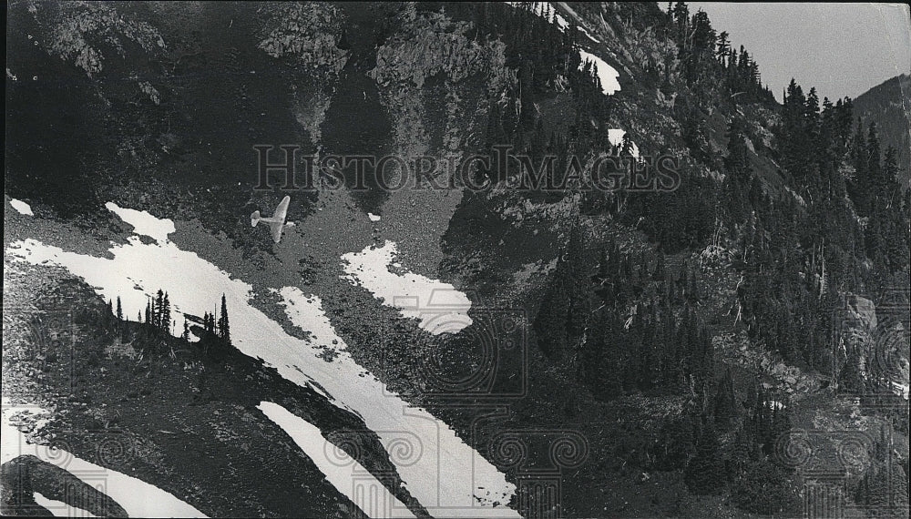 Press Photo Olympic National Forest in Washington - Historic Images