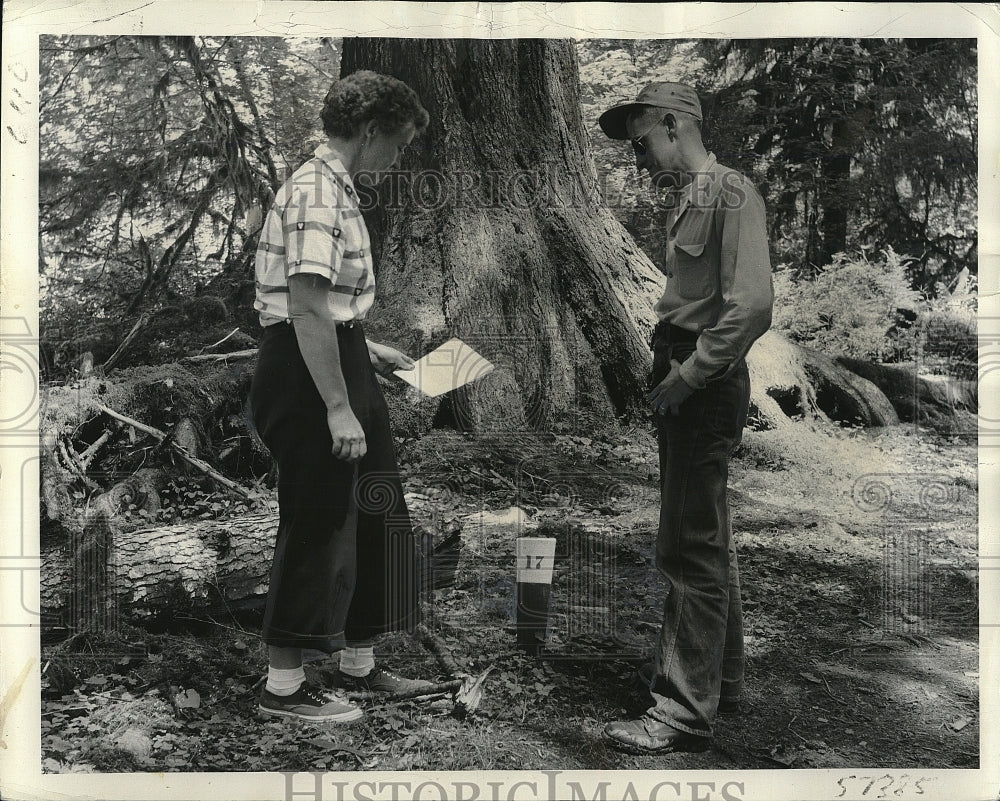 1954 Press Photo Olympic National Forest in Washington - Historic Images