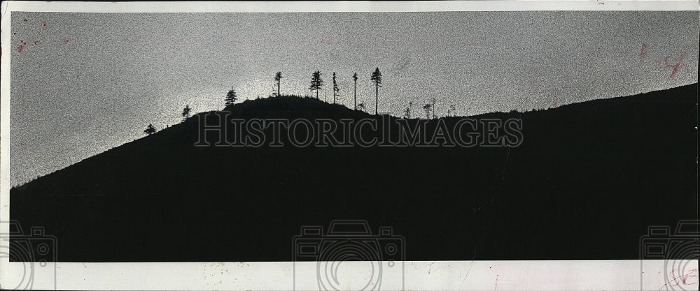 1980 Press Photo Heavily Logged Ridgetop in Olympic National Forest - Historic Images