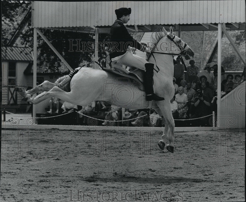 1993 Press Photo Horse Trainer George Williams Demonstrates Capriole Leap - Historic Images