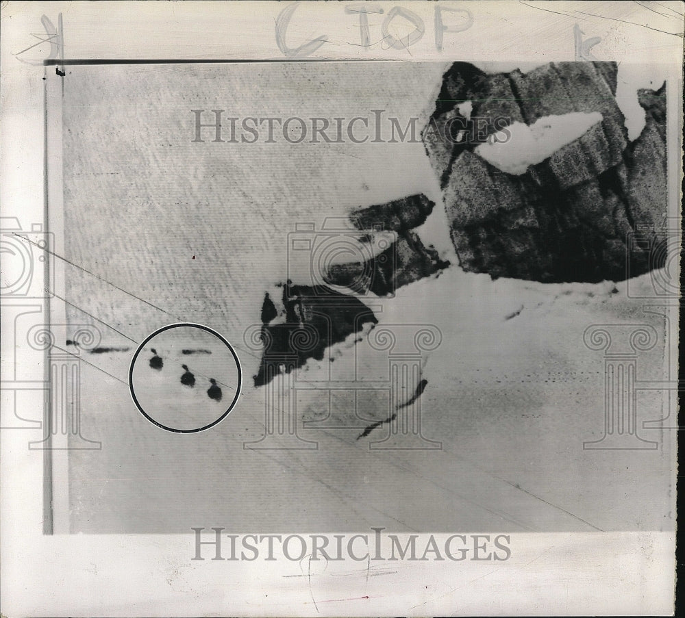 1961 Press Photo White Valley, France where jet clipped cable car  killing 9 - Historic Images