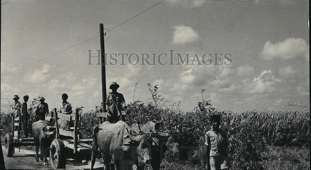 Press Photo No information Given - Historic Images