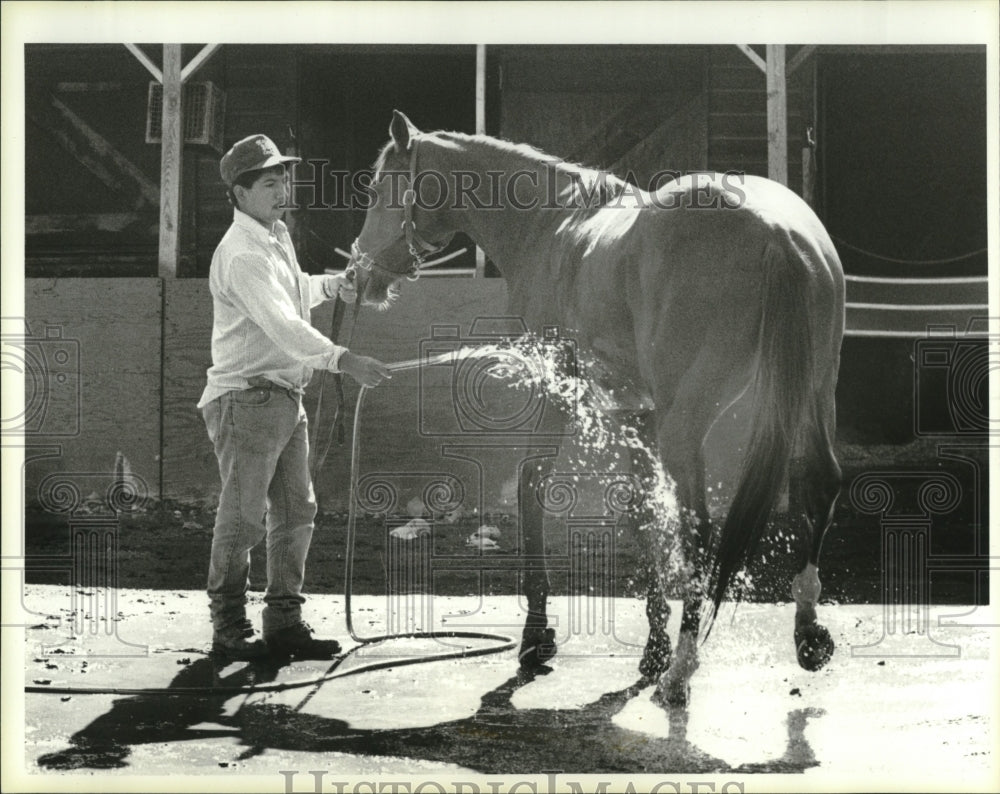 1996 Press Photo groom Carlos Portillo washing &#39;Michievious Angel&#39; - Historic Images