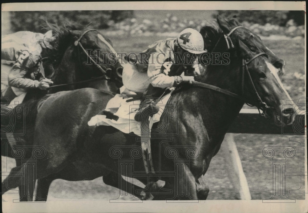 1965 Press Photo The horses run at Florida Downs - Historic Images