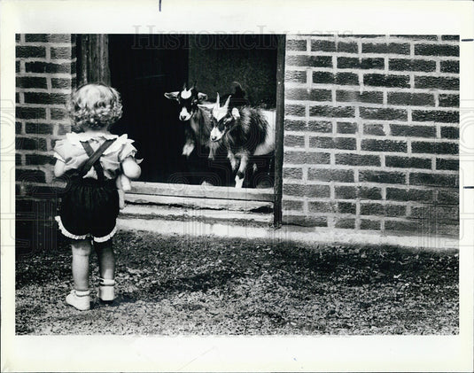 1985 Indian Boundary Zoo reopens after renovation - Historic Images