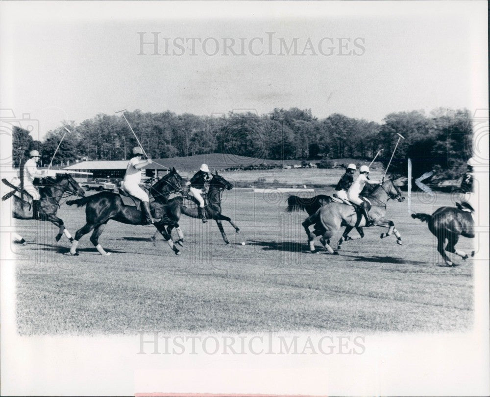 1979 Detroit Polo Club Press Photo - Historic Images