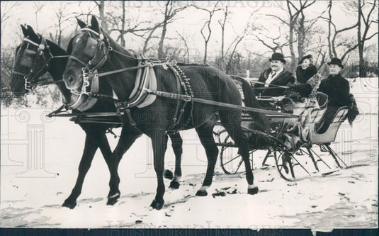1935 NY Sleigh Rides Press Photo - Historic Images