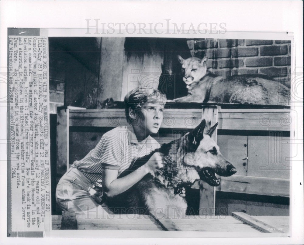 1964 Actor Jay North Press Photo - Historic Images