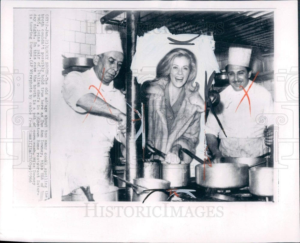 1966 Miss USA Sue Ann Downey Press Photo - Historic Images