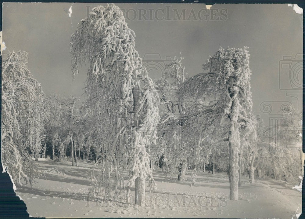 1932 Prospect Park Niagara Falls Press Photo - Historic Images