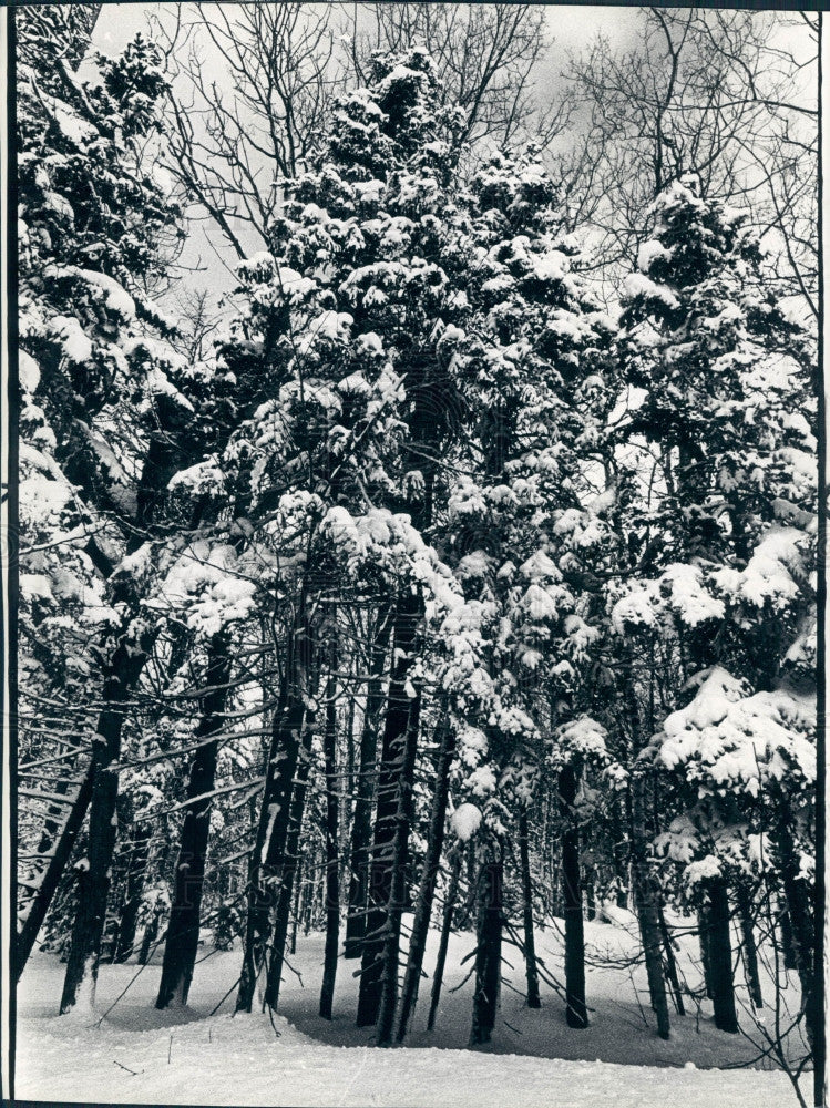 1981 Winter Scene Keweenaw Michigan Press Photo - Historic Images