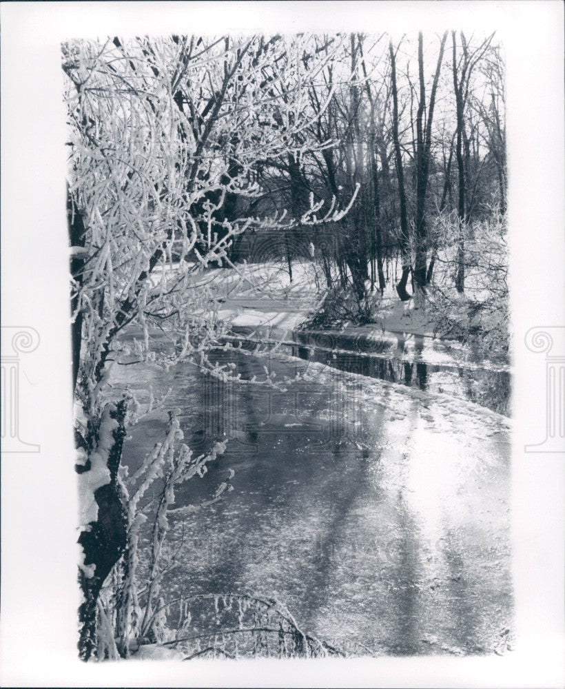 1974 Detroit Edward  Hines Park Press Photo - Historic Images