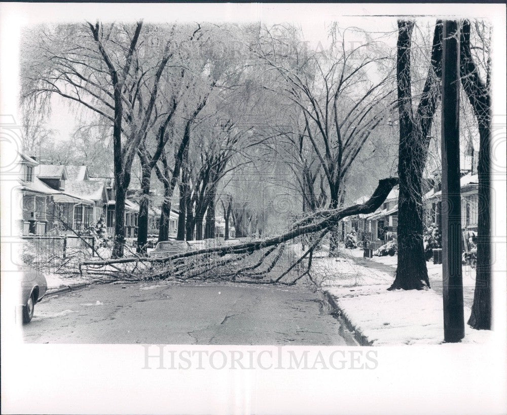 1976 Detroit Ice Storm Press Photo - Historic Images