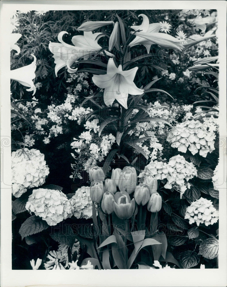 1938 Detroit Belle Isle Flower Show Press Photo - Historic Images