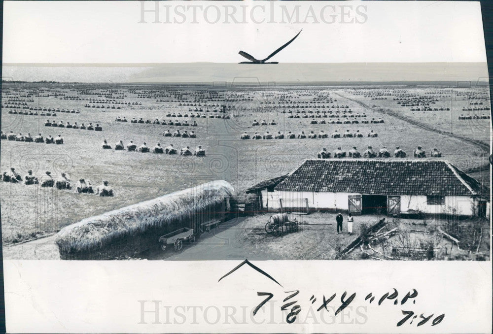 1941 North Caucusus Russia Farms Press Photo - Historic Images