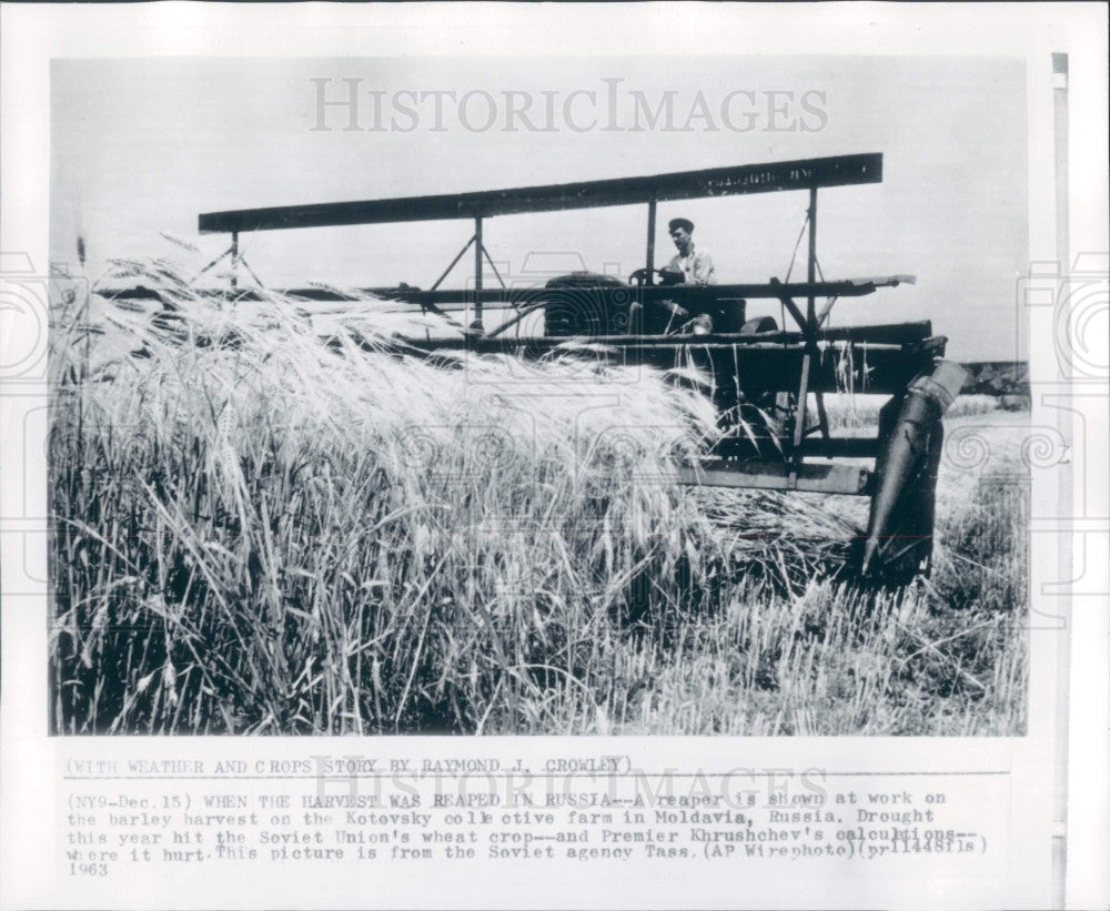 1963 Moldavia Russia Barley Harvest Press Photo - Historic Images