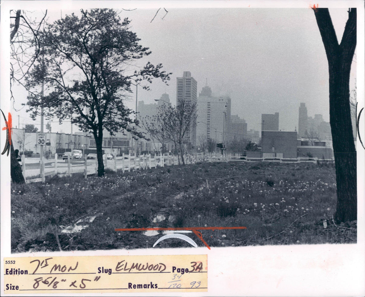 1974 Detroit Blighted Housing Elmwood Park Press Photo - Historic Images