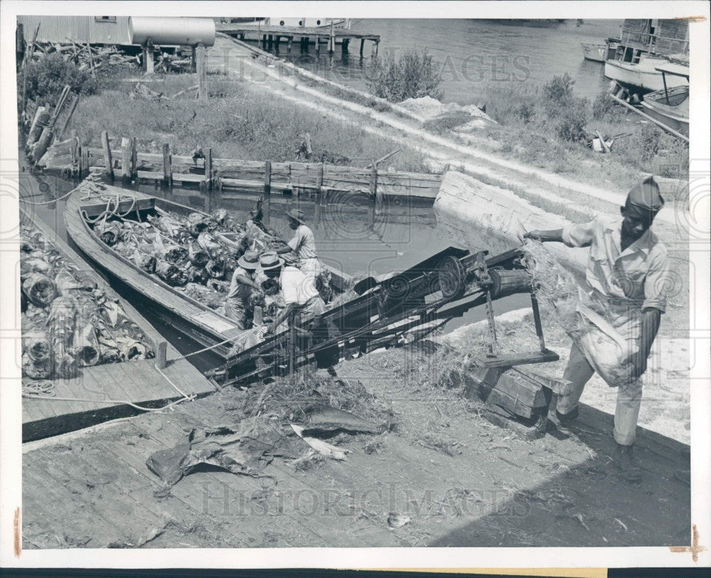 1946 Swamp Angels Making Brooms Press Photo - Historic Images