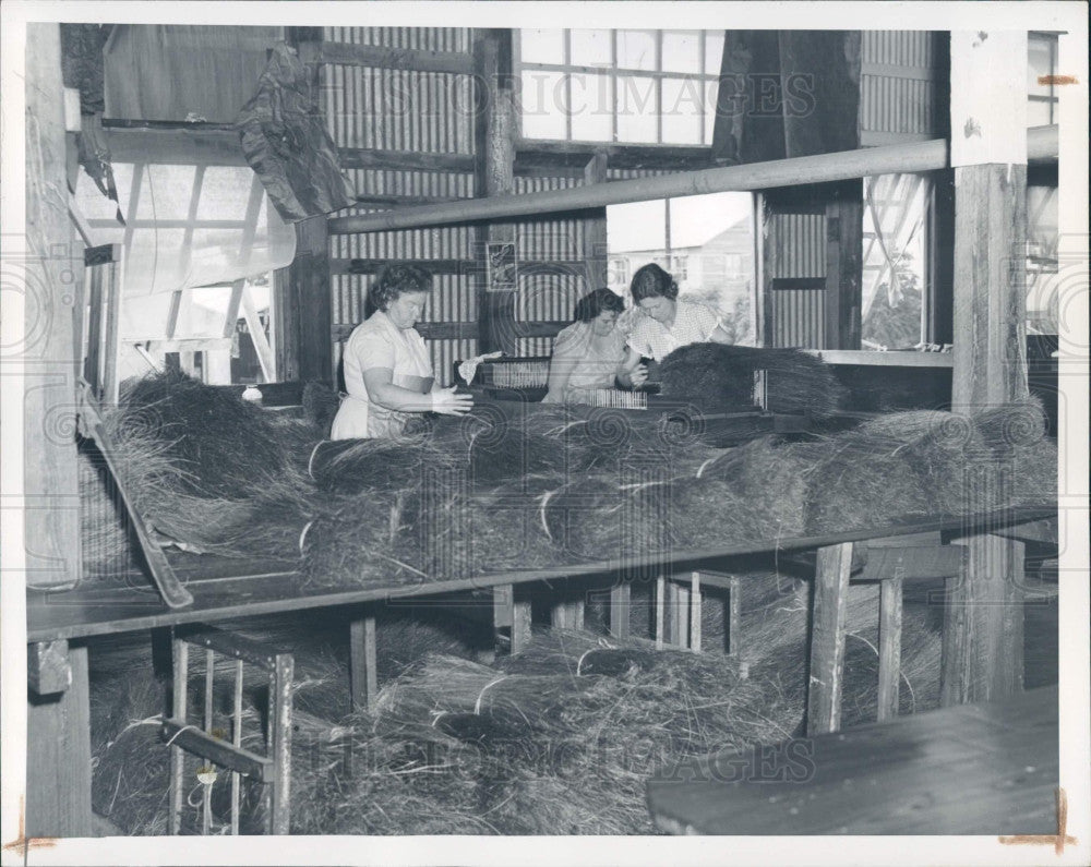 1946 Palmetto Fiber Making Brooms Press Photo - Historic Images