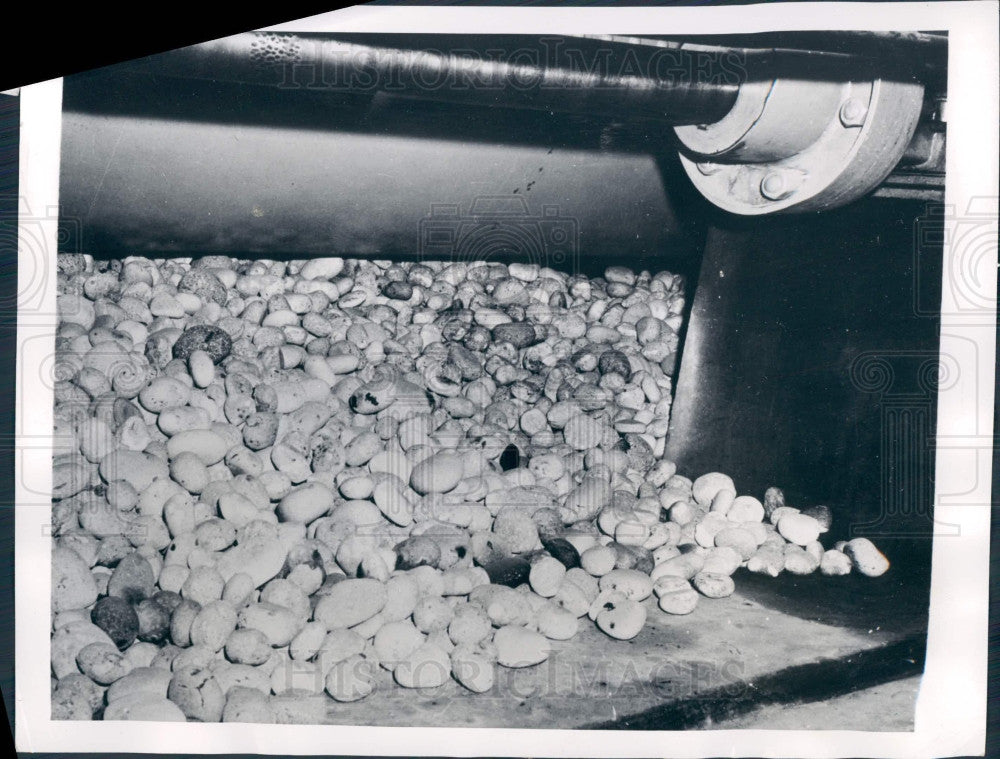 1942 CA Guayule Grinders Rubber Production Press Photo - Historic Images