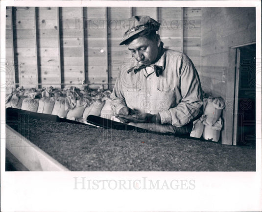 1960 India Rice Inspection Press Photo - Historic Images
