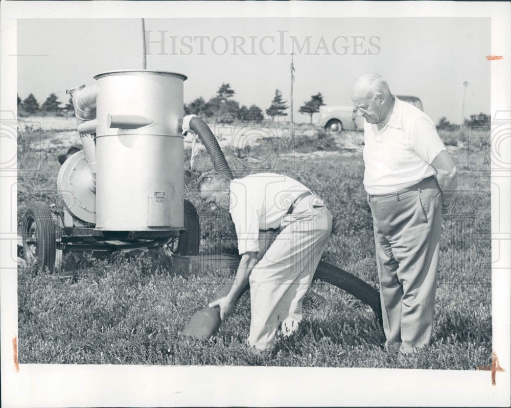 1946 Hanson MA Cranberry King Urann Press Photo - Historic Images