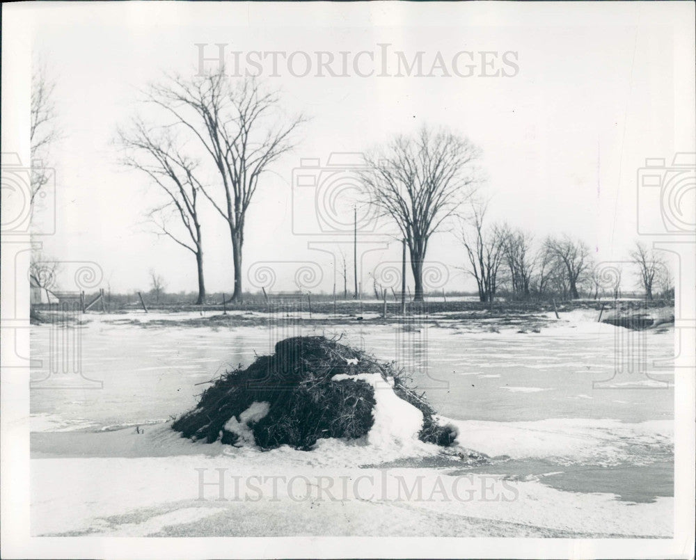 1952 Muskrat House Press Photo - Historic Images