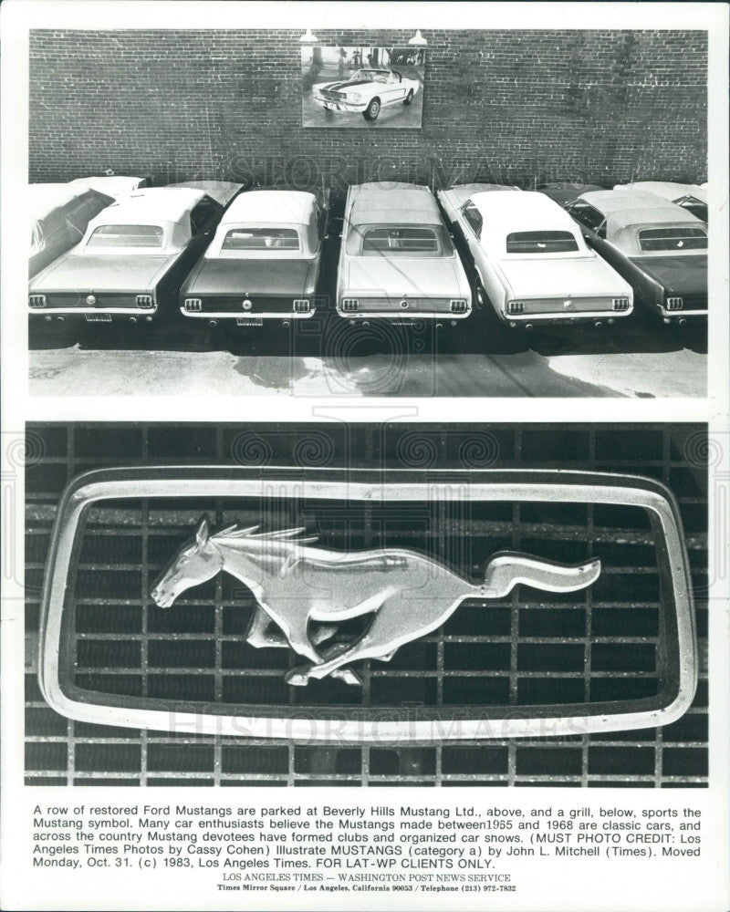 1983 Ford Mustangs Press Photo - Historic Images