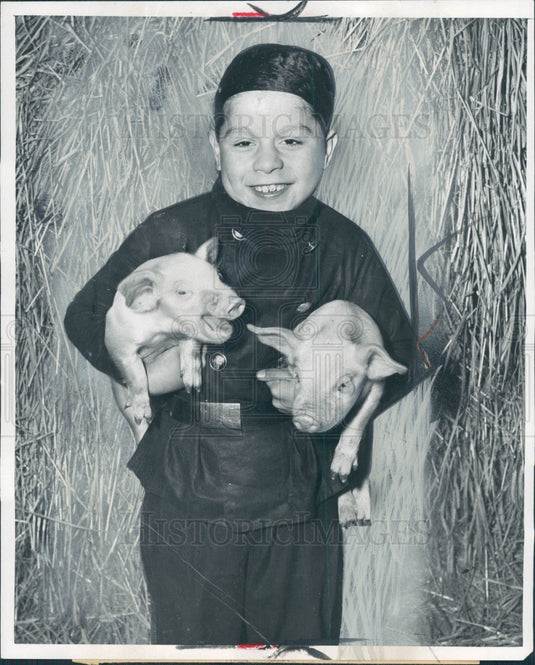 1956 Germany New Year's Pigs Press Photo - Historic Images