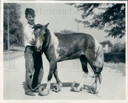1934 Pony Overgrown Hooves Press Photo - Historic Images