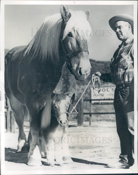1953 Doc Elliott Shetland Pony Press Photo - Historic Images