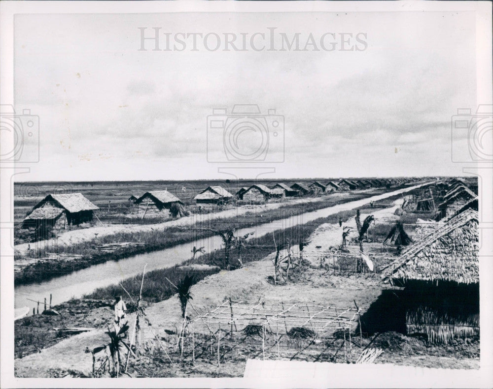 1959 Rice Farms Vietnam Press Photo - Historic Images