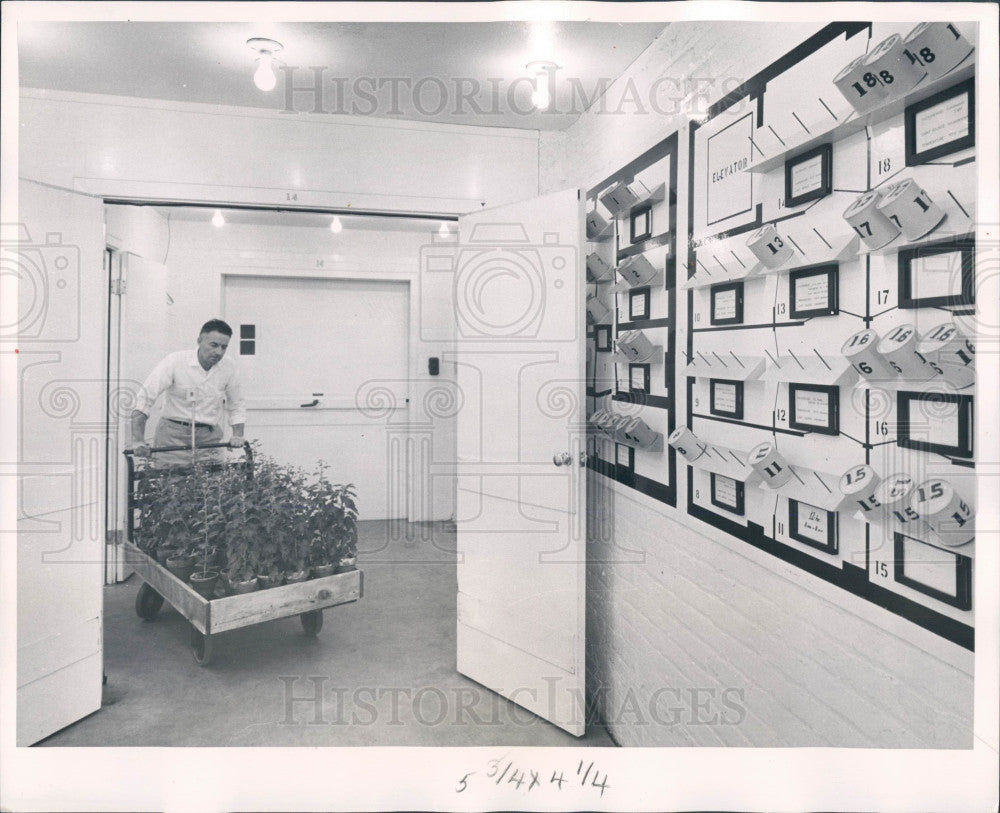 1960 Dept of Agriculture Press Photo - Historic Images