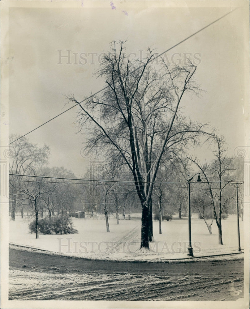 1942 Detroit MI Cass Park Press Photo - Historic Images