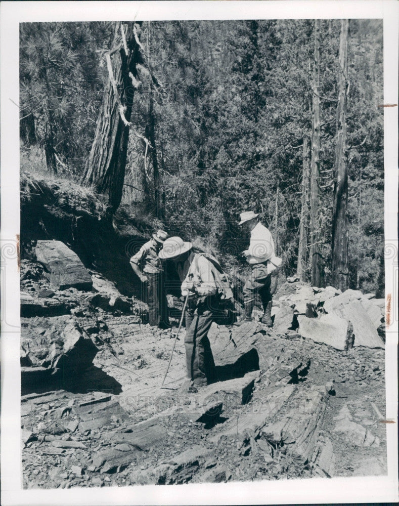 1947 Chromite Outcrop California Press Photo - Historic Images