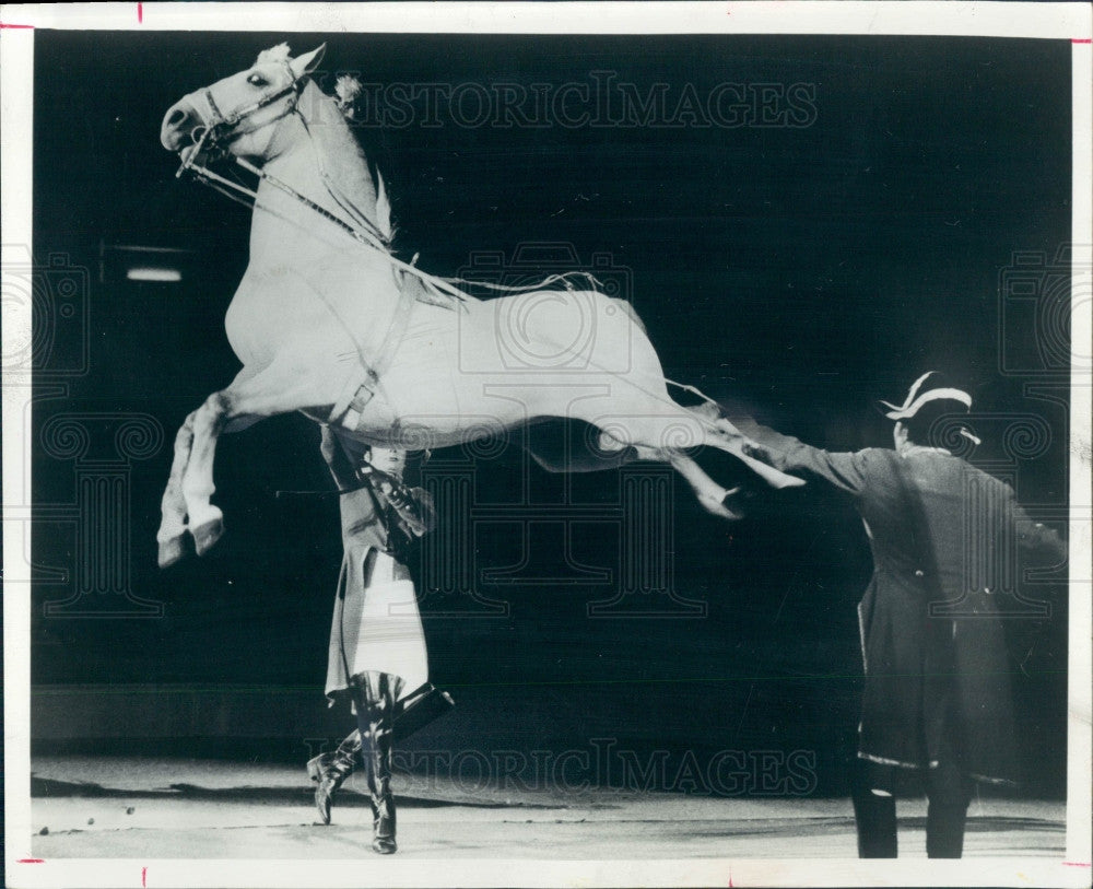 1975 Lipizzan Stallion Press Photo - Historic Images