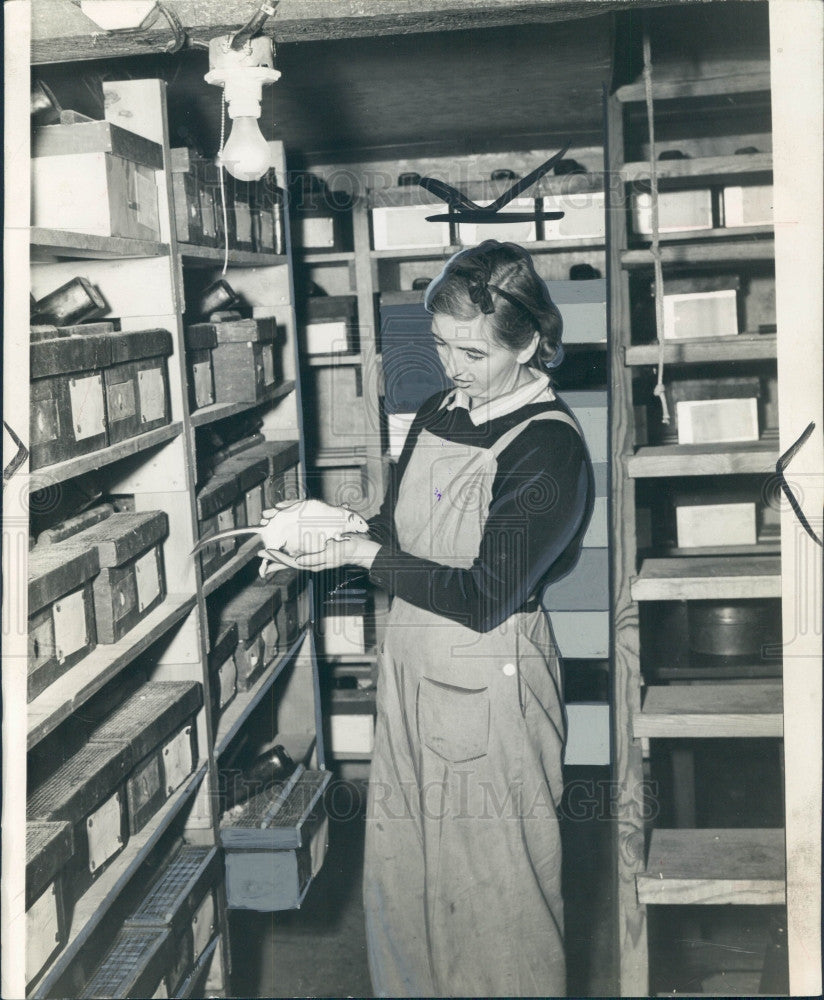 1942 Cancer Researcher Dunning Press Photo - Historic Images